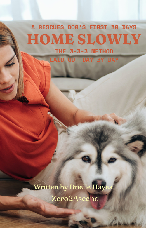 Home Slowly Guide